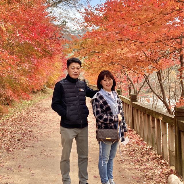 할로윈 데이에는 평창으로!