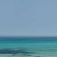 제주도의 낮