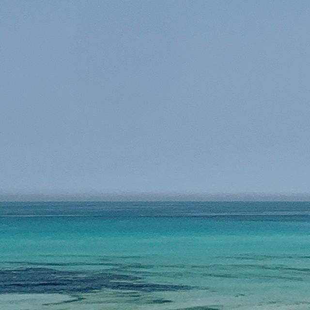 제주도의 낮