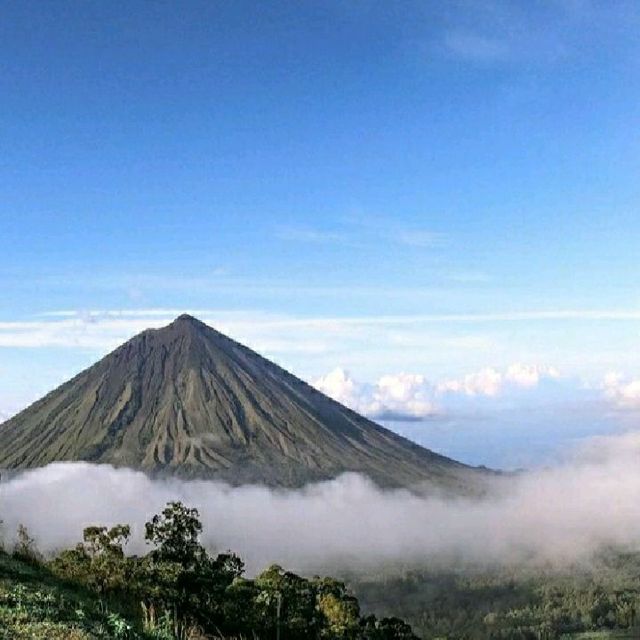 FLORES ISLAND