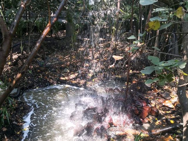 Hiddenwoods บางกะเจ้า 🍀🍃