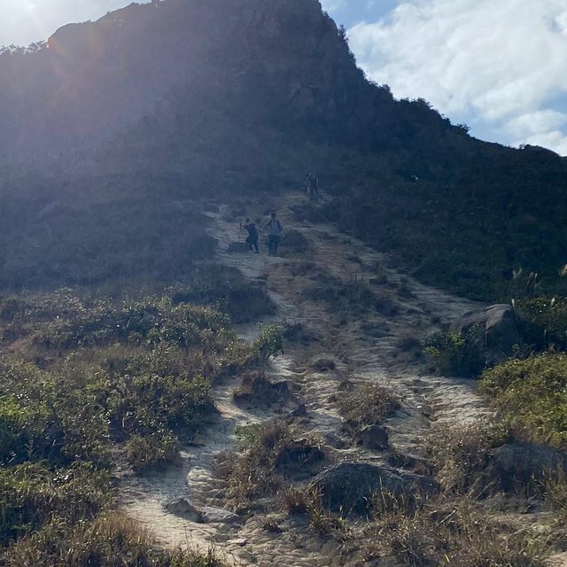 愉景灣芒草之旅｜老虎頭