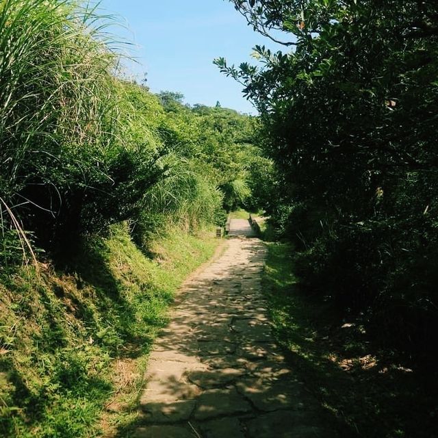 擎天崗中央步道