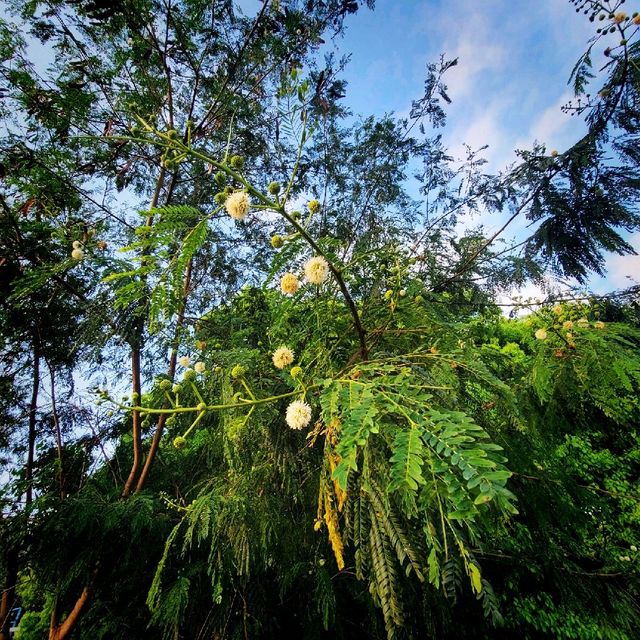浪漫日落打咭位 浪漫日落打咭位