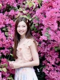 🌺黃金海岸—勒杜鵑小花海🌺