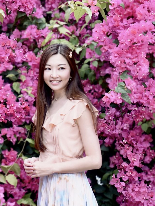 🌺黃金海岸—勒杜鵑小花海🌺