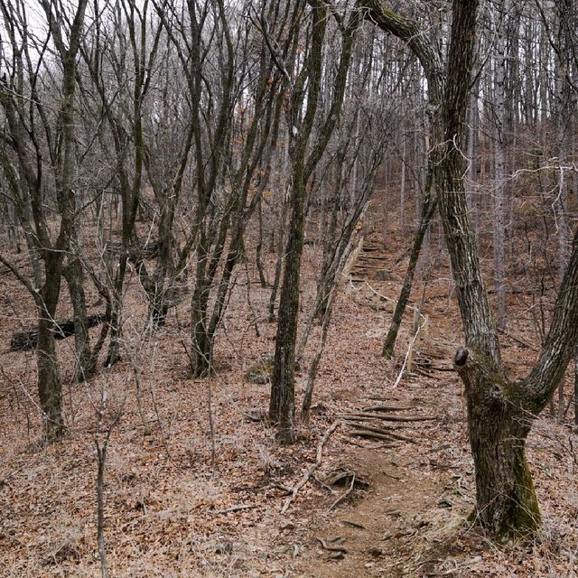 홍천 가리산 등산 