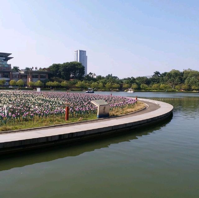 悠閒舒服的千燈湖公園