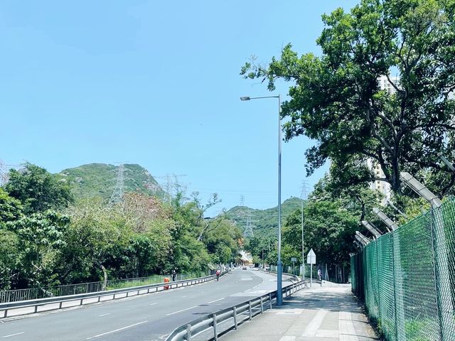 札山觀景台