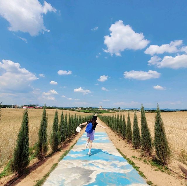 멋진 풍경과 함께 인생샷을 찍을 수 있는 안성팜랜드