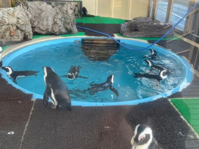 名古屋港水族館
