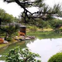 日式庭園美景🌳🌳🌳