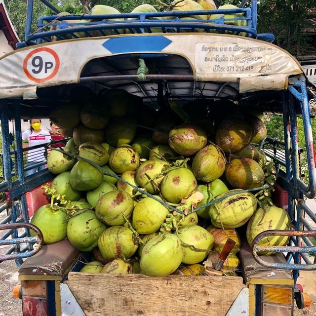 Luang Prabang’s Morning market