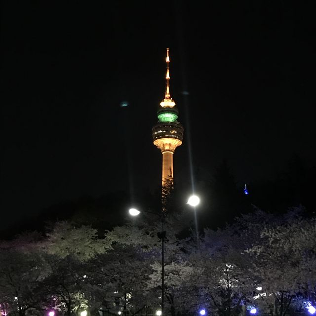 대구 대표 놀이공원은 이월드🎠