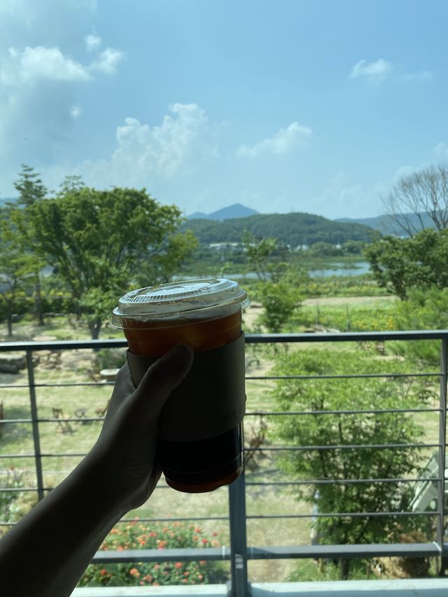 🌻해바라기 천국 카페 그유명한 '감자밭'
