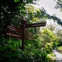 The Windsor Nature Park In Singapore