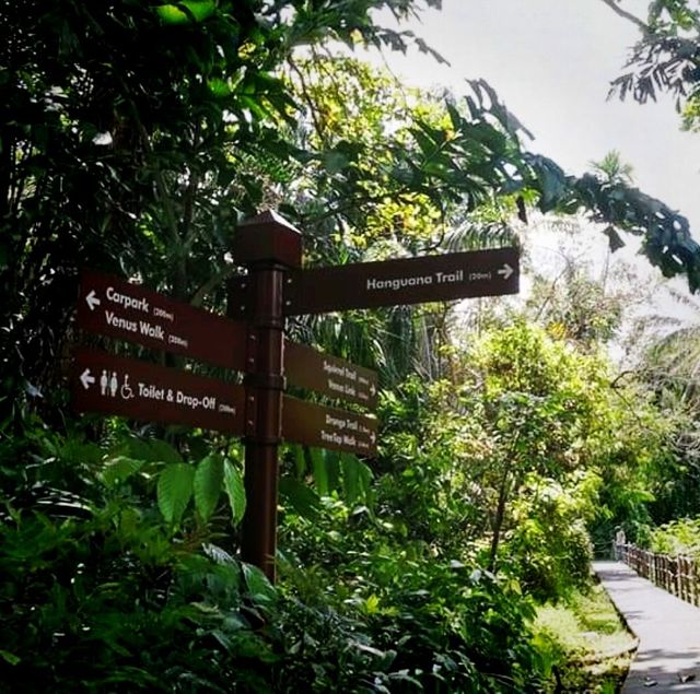The Windsor Nature Park In Singapore