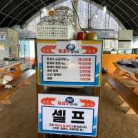 대부도 새우 명물_대부도 백화왕새우 양식장