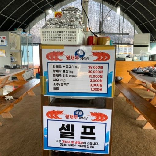 대부도 새우 명물_대부도 백화왕새우 양식장