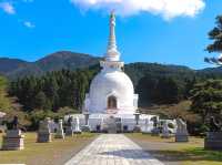 【静岡県】御殿場平和公園と御殿場富士