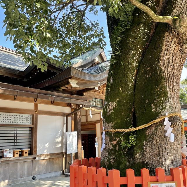 【大分県】秋晴れの宇佐神宮を参拝！