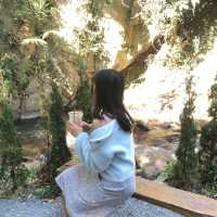 คาเฟ่ฟิวป่า Atlantis valley