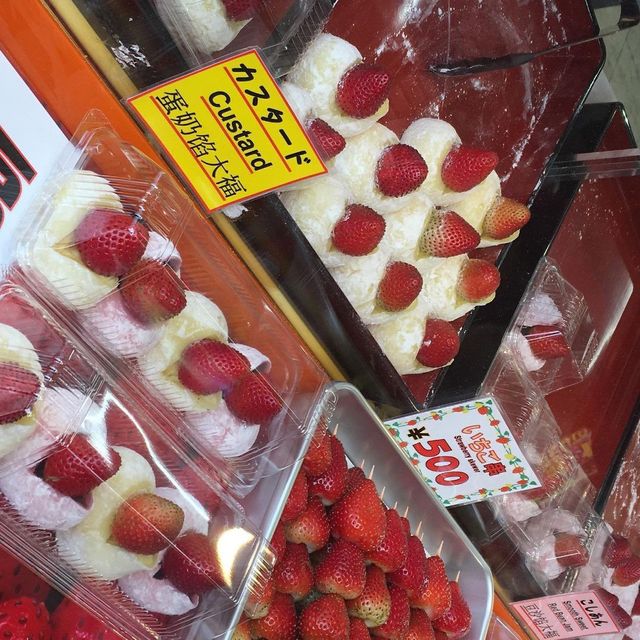 โตเกียว ญี่ปุ่น 🇯🇵