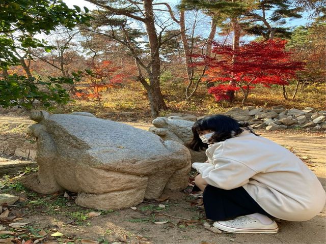 개구리불상과 단풍여행 : 강화도 전등사