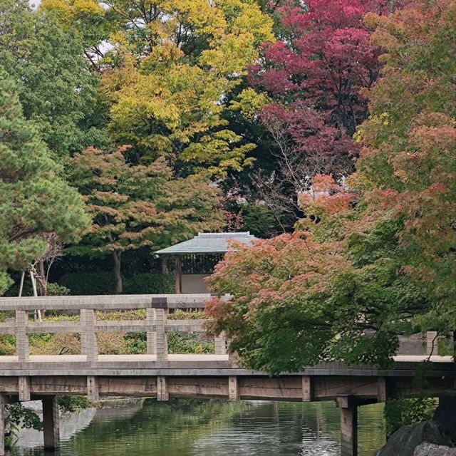 Nagoya's Hidden gem, a garden!  Nagoya's Hidden gem, a garden!