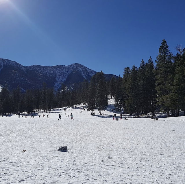 Experience snow ❄️ in Lee Meadows-Las Vegas