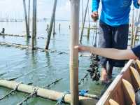 Adventure and Preserve our nature on vacation