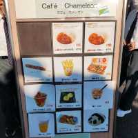 What to Eat in Ueno Zoo?