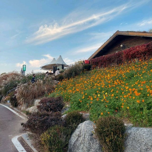 Haneul Park in Autumn 