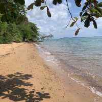 Stroll along a beach made of fossils