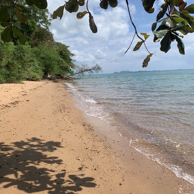 Stroll along a beach made of fossils