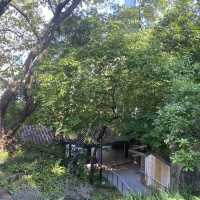 古色古香九龍公園