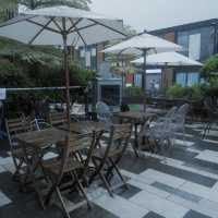 田園Cafe+貓店長，推介超軟霖豬肋排 