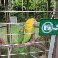 Hidden Garden in Bulacan