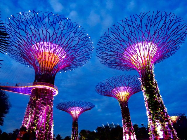 新加坡景點-濱海灣花園