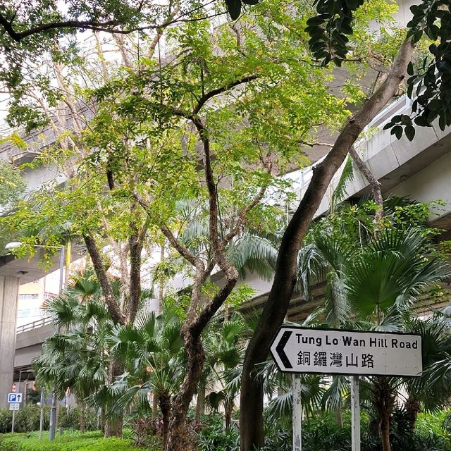 媽啊，好亂啊！究竟大圍定銅鑼灣？😂