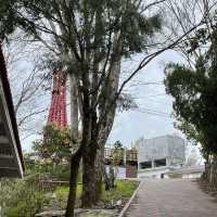 【台灣桃園 巴陵鐵塔】 海拔1314 高地情侶放閃景點