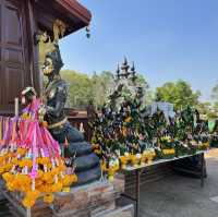 วัดป่าคลอง 11 (คำชะโนด 2)