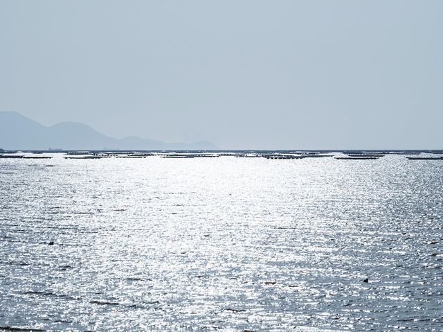 最美海景 下白泥