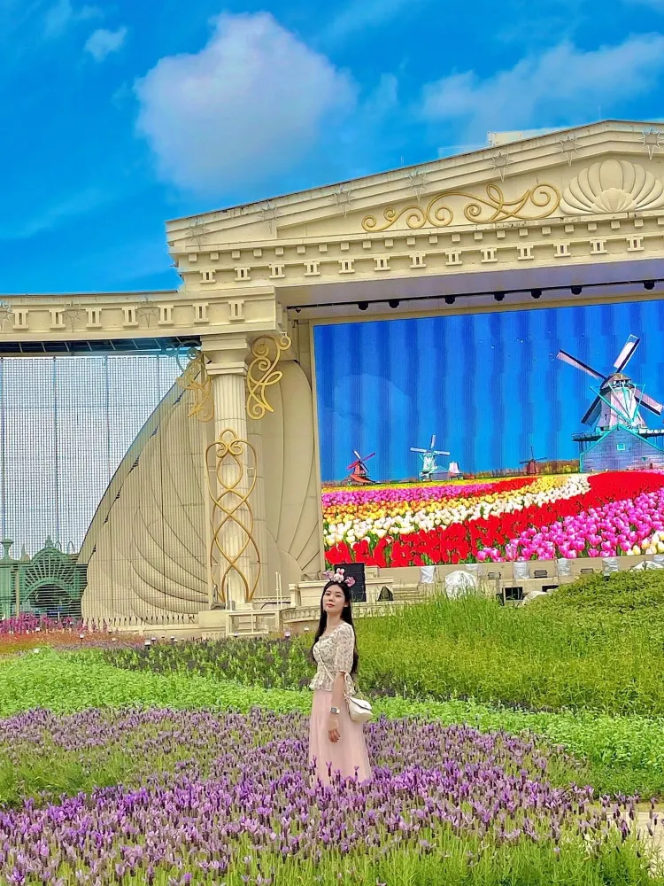 장미가 활짝 피어있는 에버랜드🎡