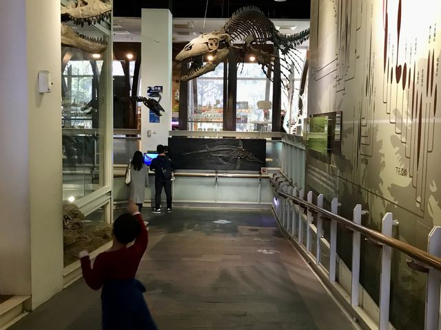 台南市樹谷園區 看恐龍🦕、玩科學🔬
