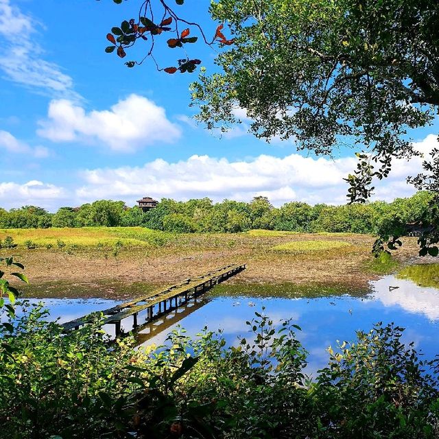 Wonders of Nature at Sungei Buloh Wetland