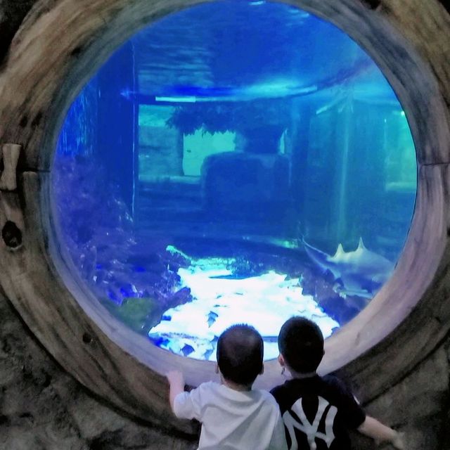 아가들과 즐거운 바닷 속 여행♡