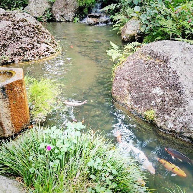 JAPANESE VILLAGE at BUKIT TINGGI. 