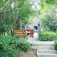 生態之旅 - 香港濕地公園