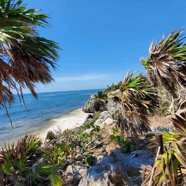 [칸쿤여행] 마야유적지를 볼수 있는, Tulum(툴룸)